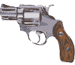 Gun